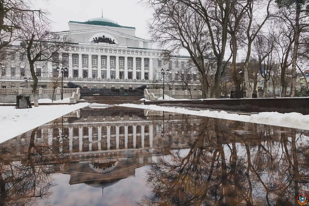 Арктическое вторжение на Дон: температурные качели и снежный шторм обрушатся на регион 2 февраля