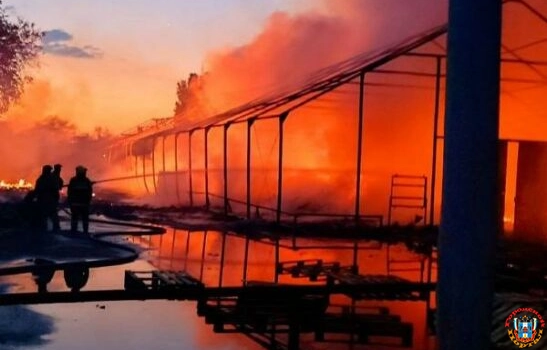 Больше полусотни спасателей два часа тушили крупный пожар на складе в Ростове