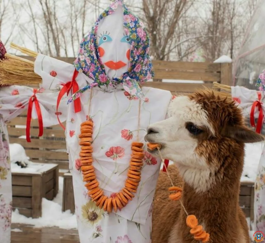 Прощай, зима! Где в Ростове поесть блинов и встретить Масленицу-2026: гид по лучшим площадкам