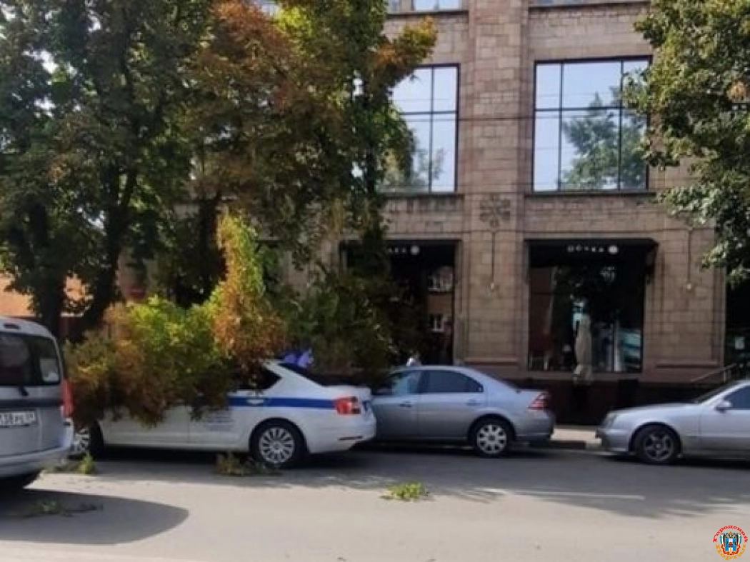 В центре города Шахты дерево упало на полицейский автомобиль
