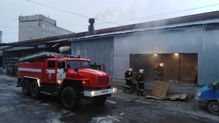 В Екатеринбурге сгорел террариум с животными