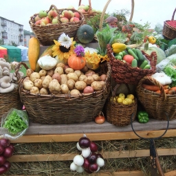 В Ростове пройдут две продовольственные ярмарки