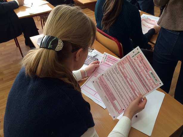 Досрочный ЕГЭ по русскому языку написали 226 школьников на Дону