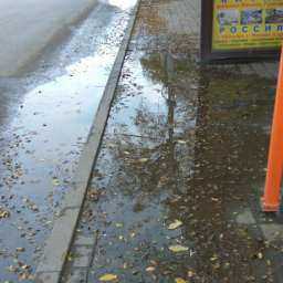 Остановка на болоте  вызвала осеннюю депрессию у пассажиров в Ростове