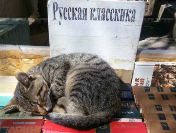 Разогнать книжный развал на Пушкинской собираются ростовские власти