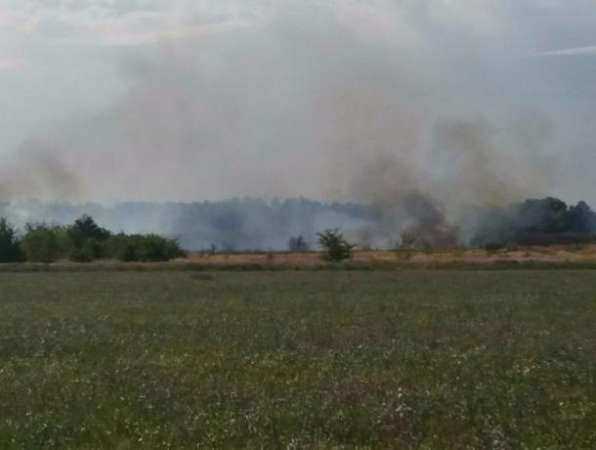 Внезапный пожар в Ростовской области угрожает добраться до АЗС