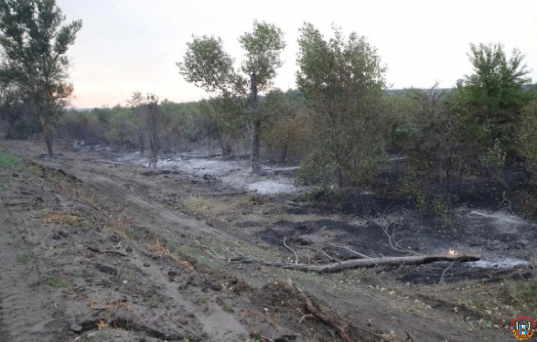 Лесной пожар в Ростовской области локализовали на площади в 311 га