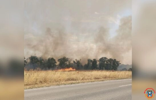 В Белокалитвинском районе сгорело 600 квадратов сухой травы