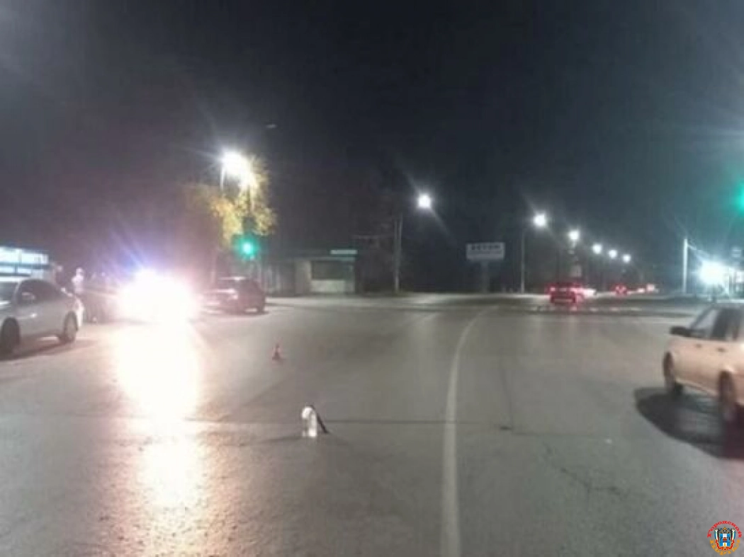 В Новочеркасске осудили водителя иномарки, сбившего пешехода на Харьковском шоссе
