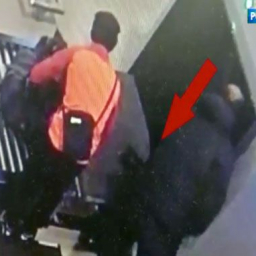 Ростовчанина подозревают в краже крупной суммы денег у одного из пассажиров аэропорта Платов