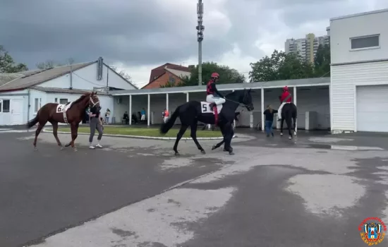 5 тысяч подписей собрала петиция за сохранение Ростовского ипподрома