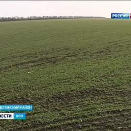 Конфликты между фермерами: на совещании в Сальске искали пути решения проблемы