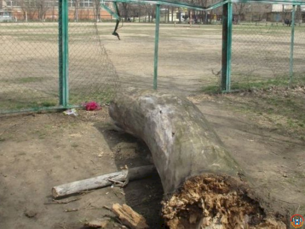 На Дону упавшее из-за сильного ветра дерево повалило забор