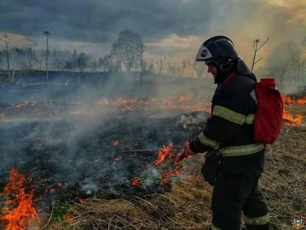 Штормовое предупреждение из-за пожароопасности продлили на Дону
