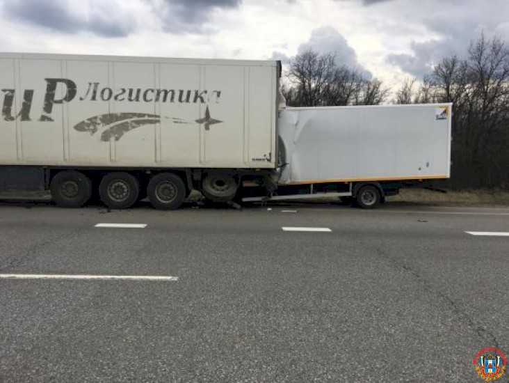 В Ростовской области в жутком ДТП с фурой погиб водитель грузовика