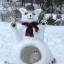 Снежный дом для нежного котика создали ростовские мастера 0