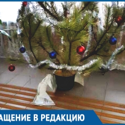 «В собесе елка из документов - вот и наша безопасность», - пожаловался житель Ростовской области