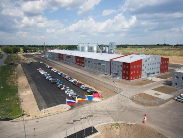 Фабрика «Мишкино» под Ростовом возобновит производство