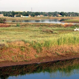 В Ростовской области задержали мужчину, который 4 года насиловал инвалида