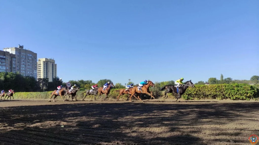 Невыполнимые условия для содержания лошадей поставил конникам владелец ростовского ипподрома