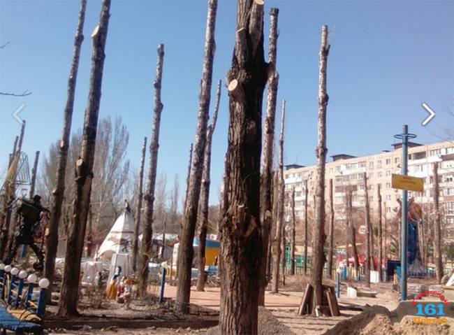 Это некомпетентность: Общественники раскритиковали обрезку деревьев в ростовском парке «Сказка»