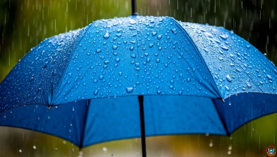 Температурные качели и &laquo;белые мухи&raquo;: Ростовскую область накроет мокрым снегом 4 марта