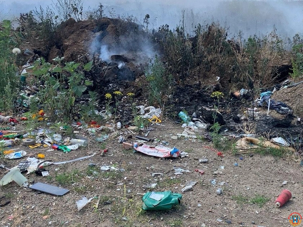 В Донецке три дня горит мусорный полигон