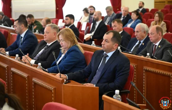 Депутаты Дона внесли поправки в областной бюджет на текущий год