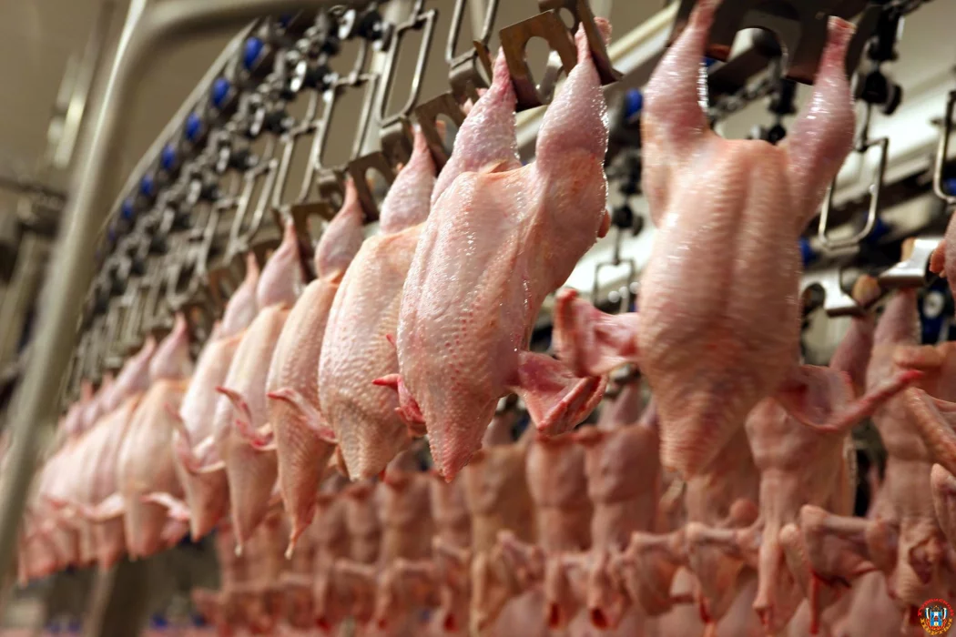 От СНГ до Африки: Ростовская область отправила на экспорт свыше 185 тонн мяса птицы