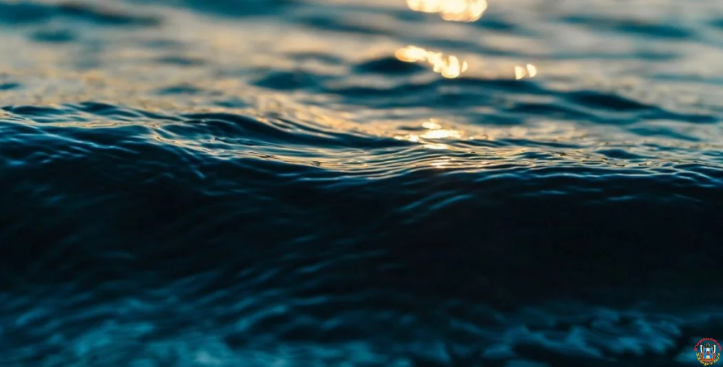 Более 17 км реки Быстрой расчистят в Ростовской области