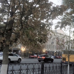 Погода на завтра: не самый лучший день для прогулок по городу