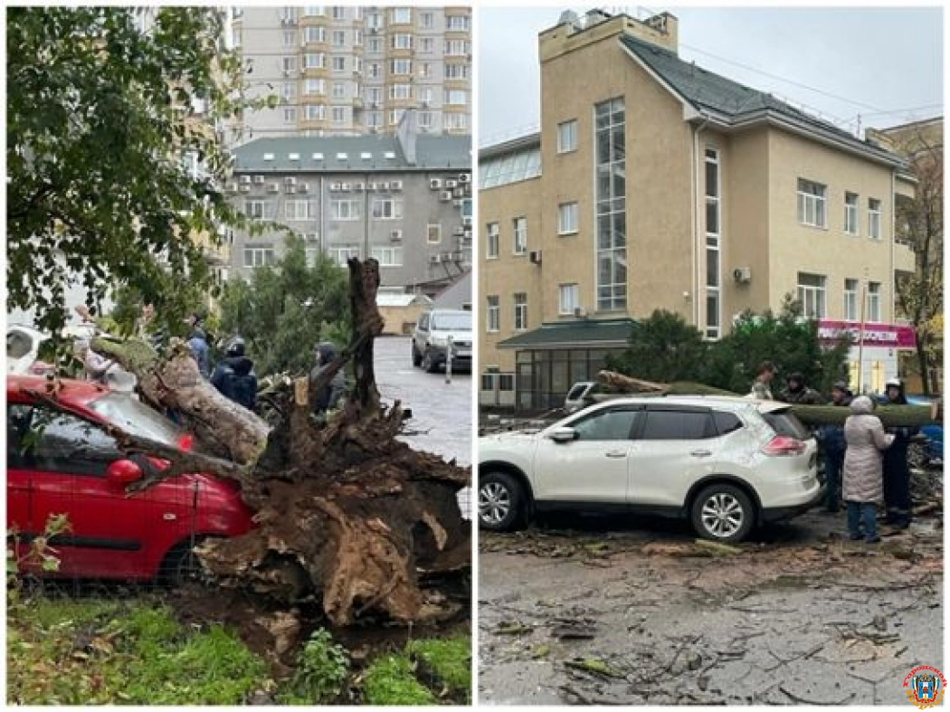 Дерево раздавило три авто в Ростове-на-Дону