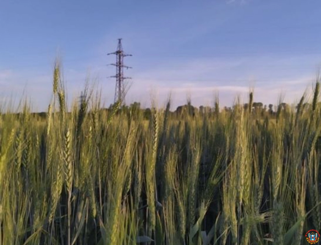 На Дону ожидается усиление ветра и аномальная жара
