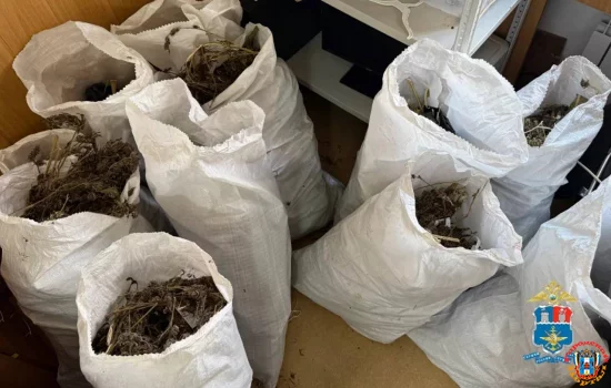 У жителя Азовского района полицейские изъяли более 70 кг наркотиков