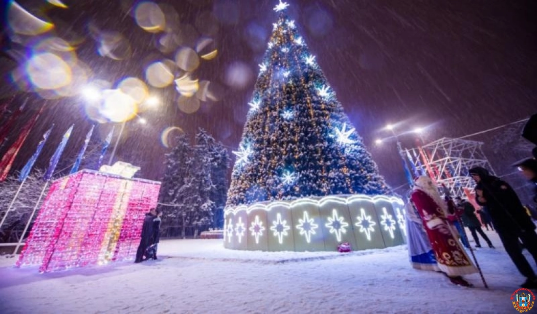 В Ростовской области власти рассказали о праздновании Нового года