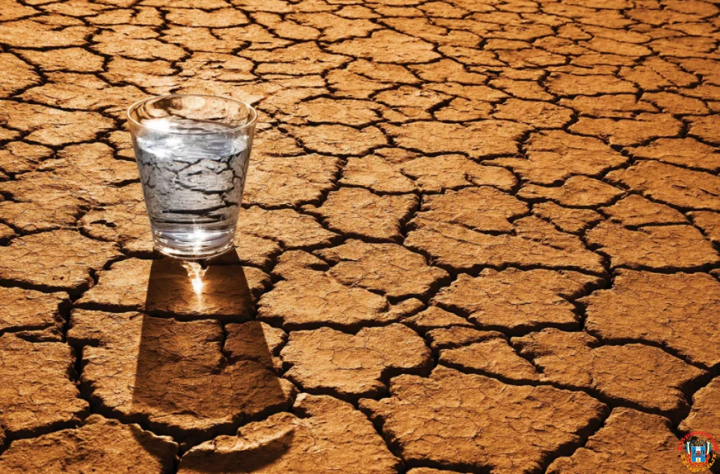 Засушливые регионы мира опеспечат питьевой водой Ростовские учёные