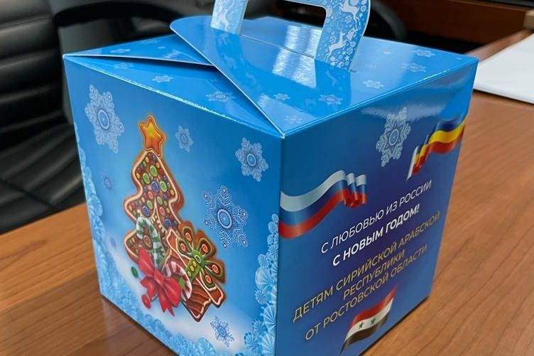 Власти Ростовской области отправят новогодние подарки детям из Сирии