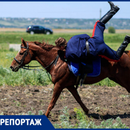 Казачья удаль, да сила: как в Старочеркасске прошли Шермиции