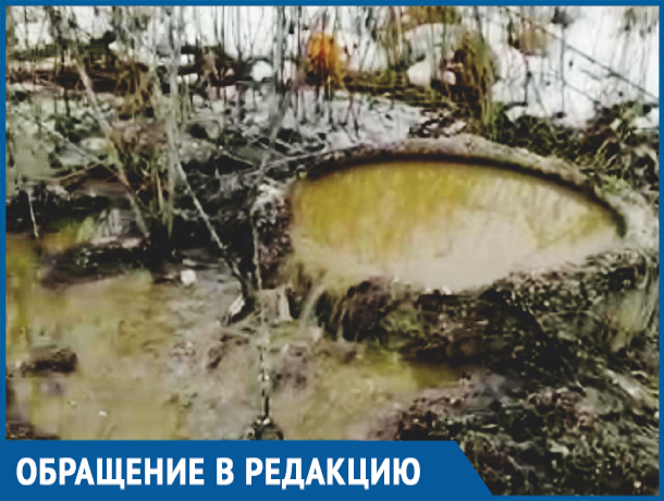Река из канализационного люка мучает вонью жителей Шахт Река из канализационного люка мучает вонью жителей Шахт