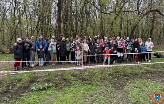 К уничтожению посаженных жителями деревьев в роще СКА, привела смена чиновников в Ростове