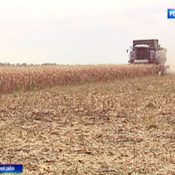 Первый миллион урожая собрали аграрии на Дону