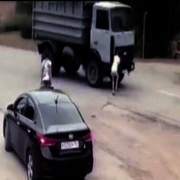 На Дону 10-летняя девочка попала под колеса грузовика
