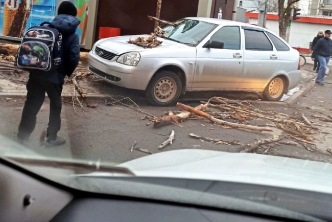 Сорванные крыши и поваленные деревья: в Ростове разгулялась непогода