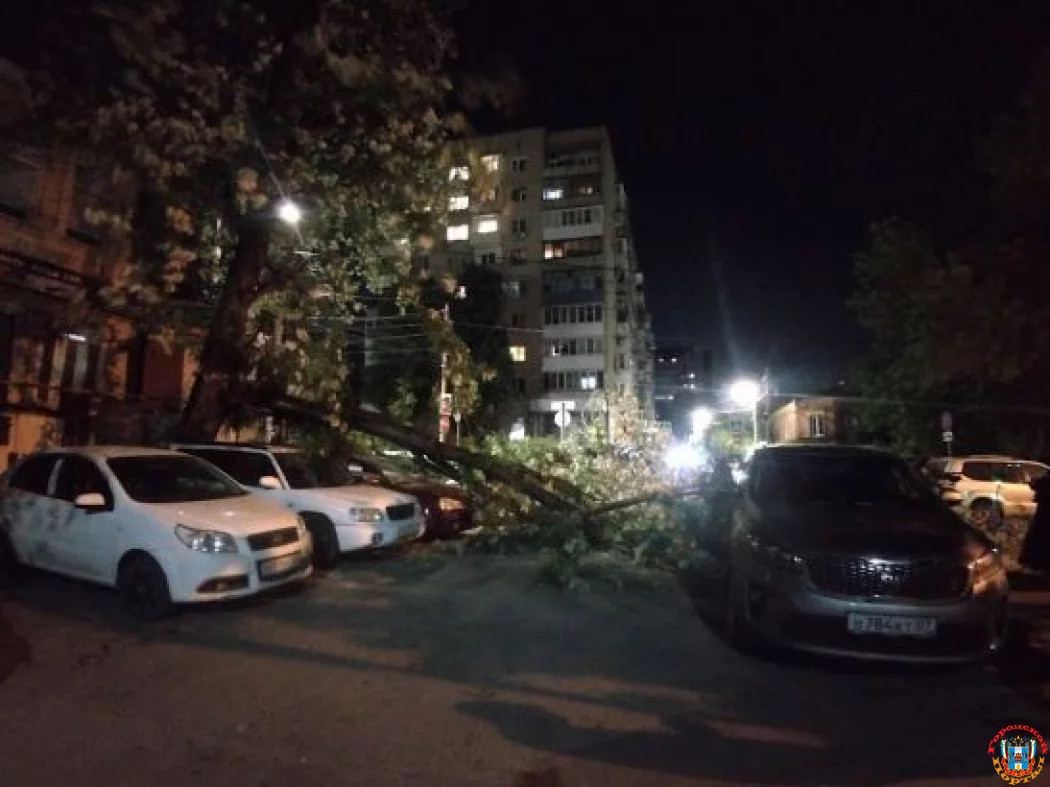 В центре Ростова старое дерево упало на припаркованные автомобили