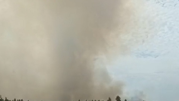 Крупный пожар третий день ликвидируют в Челябинской области