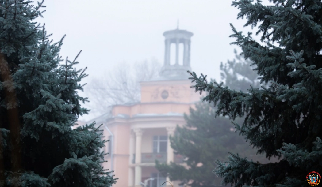 В Ростове 2 февраля синоптики обещают мокрый снег