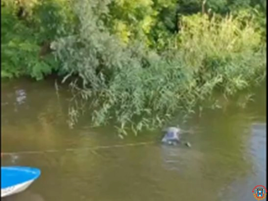 В Ростовской области в реке Калитве выловили труп мужчины