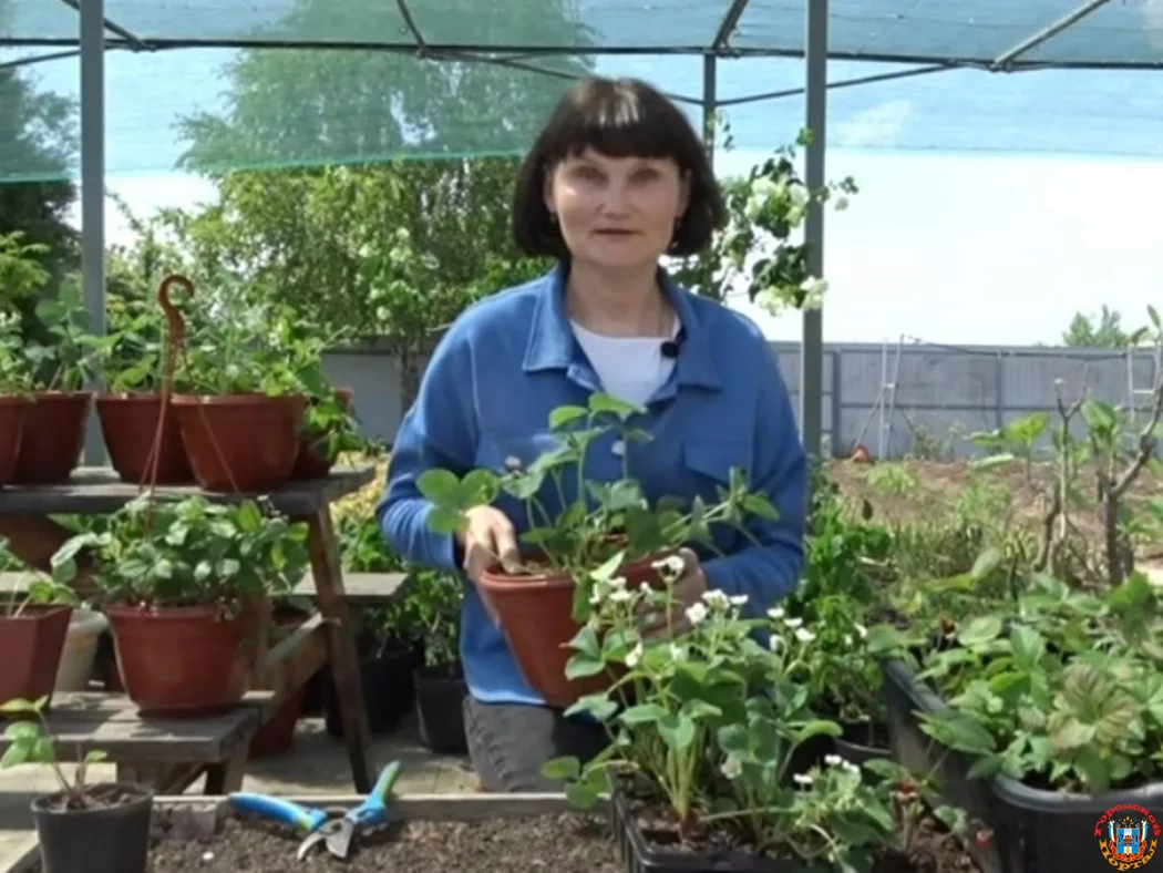 Как подготовить семена к посеву, рассказала победительница проекта «Четыре дачи»