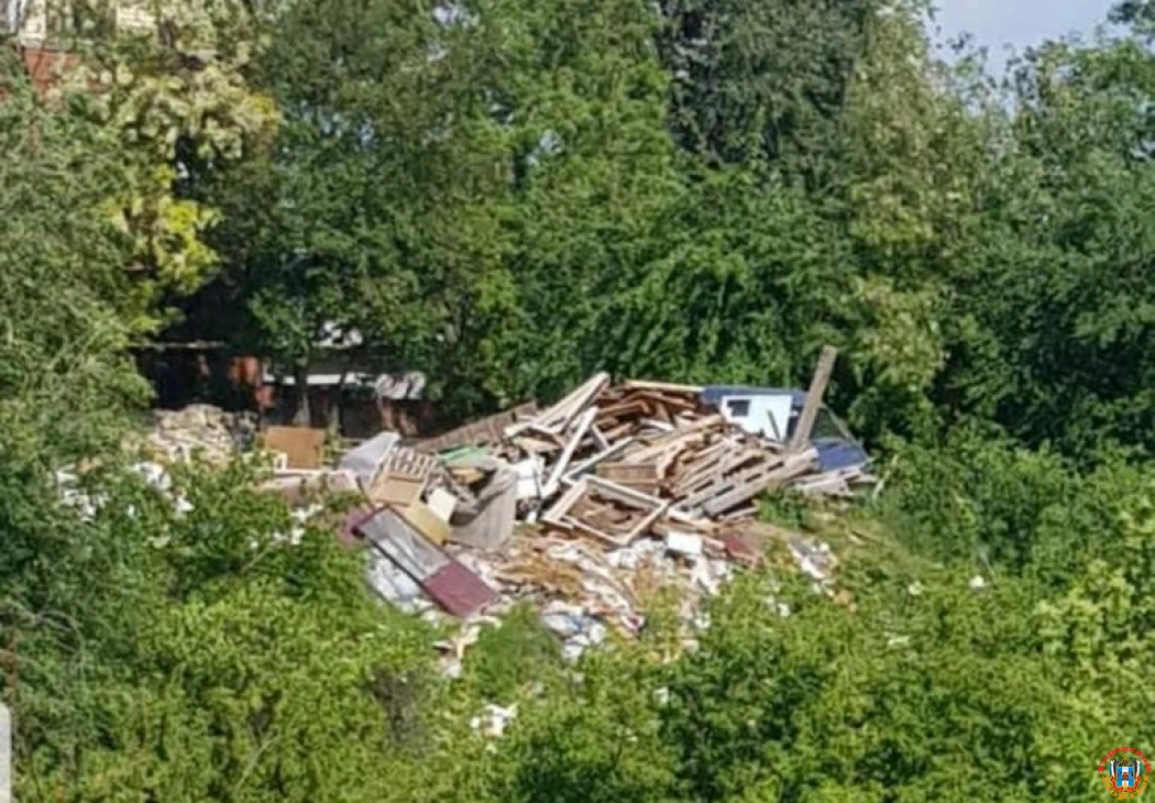 С устроившим свалку в заповедной зоне ростовчаниным провели беседу