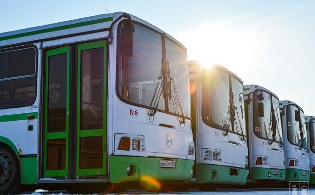 Власти захотели пересадить жителей Ростова с личных автомобилей на общественный транспорт